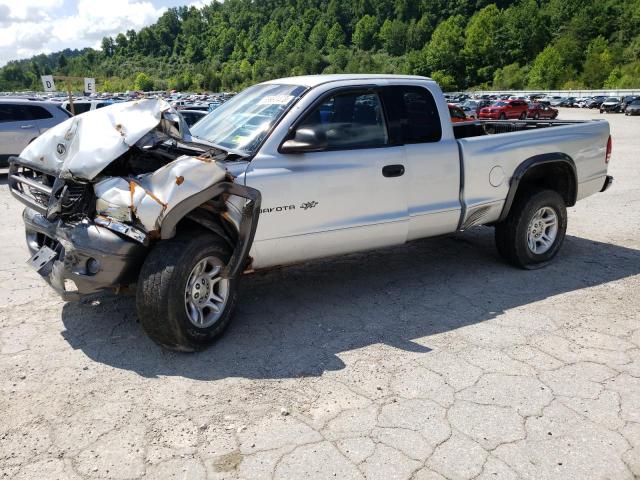 DODGE DAKOTA BAS 2002 with VIN 1B7GG12X52S541921 - Photo from auction