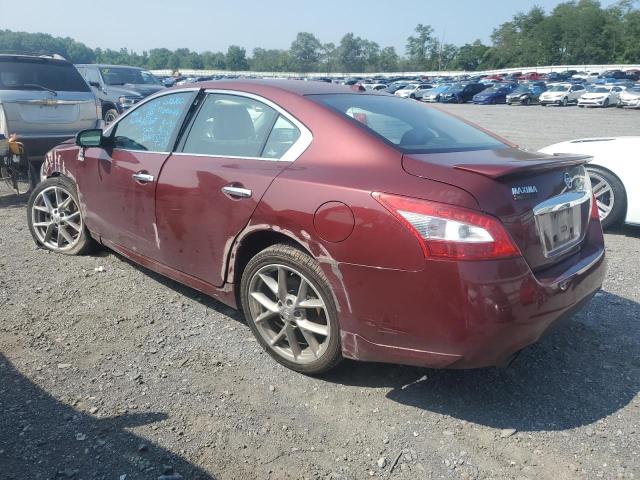 Photo 2 from auction – 2010 NISSAN MAXIMA S with VIN 1N4AA5AP5AC813902