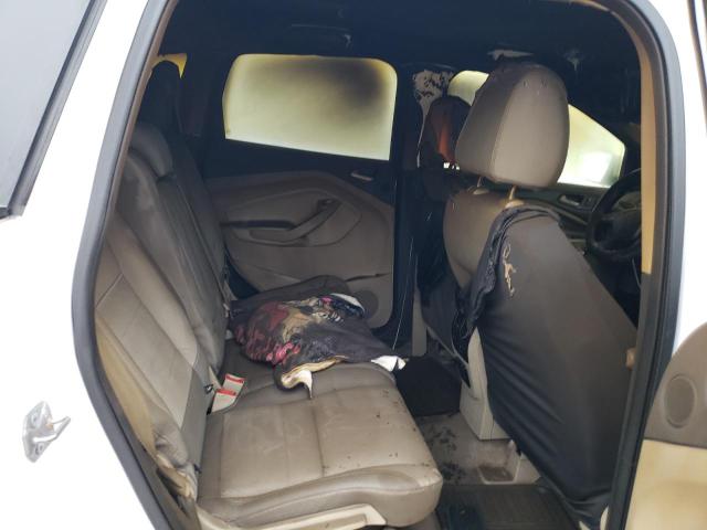 Photo 10 from auction – 2014 FORD ESCAPE SE with VIN 1FMCU0GXXEUB98182