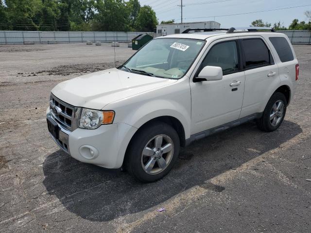FORD ESCAPE 2009 with VIN 1FMCU04G19KB01635 - Photo from auction