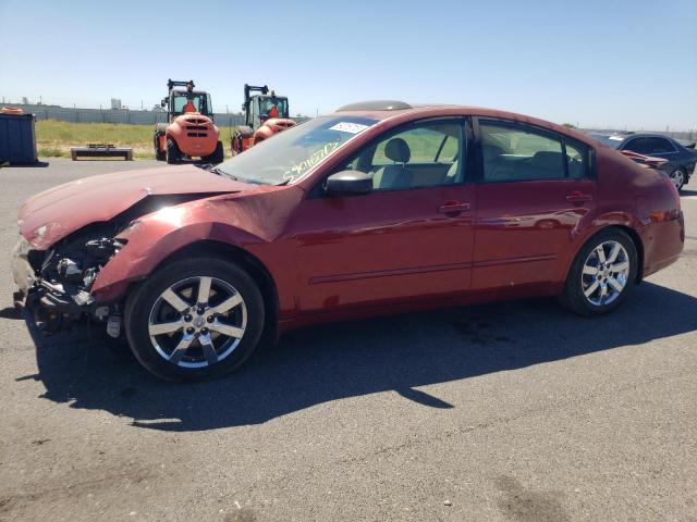 NISSAN MAXIMA SE 2004 with VIN 1N4BA41E94C913373 - Photo from auction