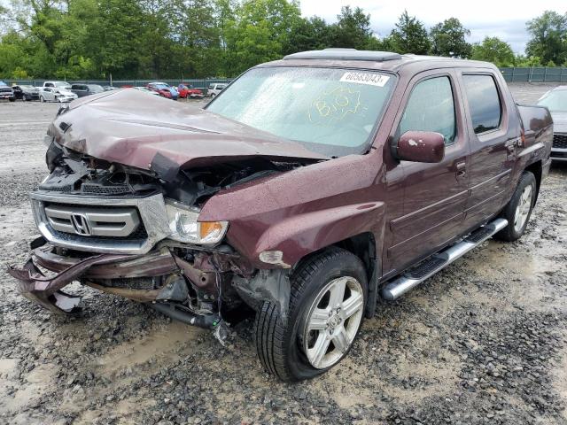 HONDA RIDGELINE 2011 with VIN 5FPYK1F53BB011429 - Photo from auction