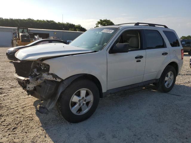 FORD ESCAPE XLT 2011 with VIN 1FMCU0D7XBKC70557 - Photo from auction