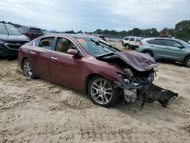 Photo 4 from auction – 2009 NISSAN MAXIMA S with VIN 1N4AA51E39C823824