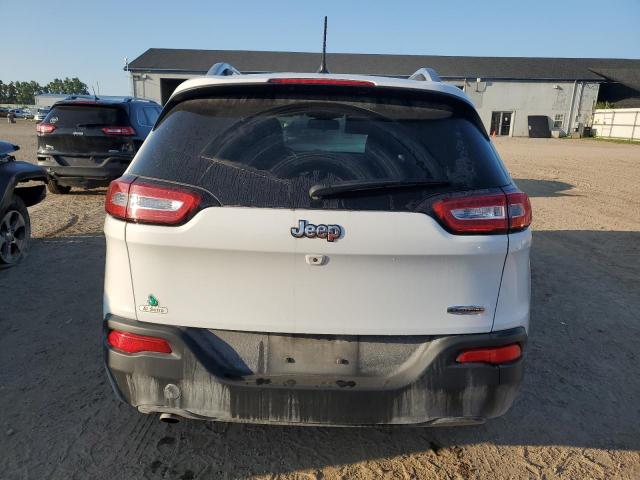 Photo 6 from auction – 2014 JEEP CHEROKEE L with VIN 1C4PJLCB8EW314168