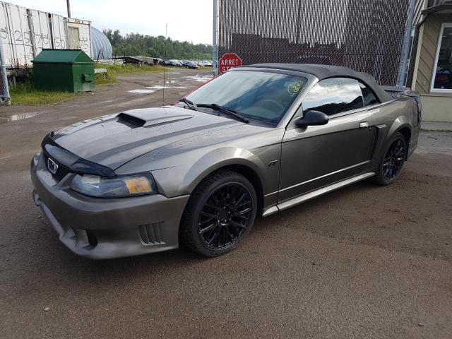 FORD MUSTANG GT 2002 with VIN 1FAFP45X82F163097 - Photo from auction