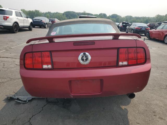 Photo 6 from auction – 2005 FORD MUSTANG with VIN 1ZVFT84N555188933