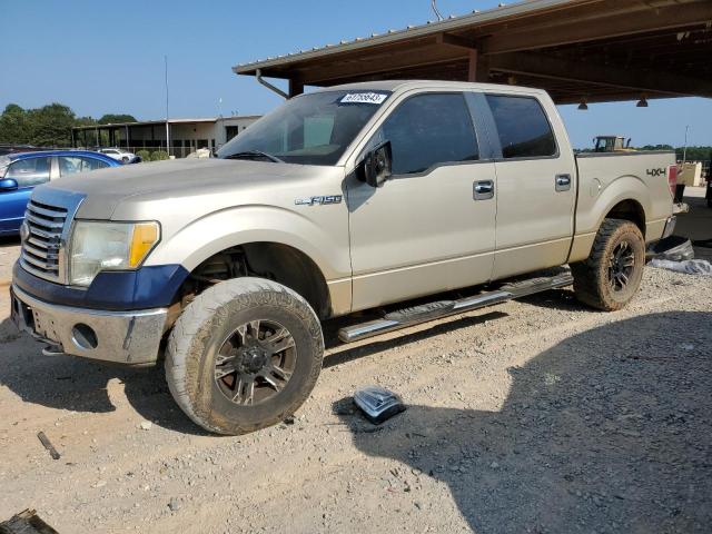 FORD F150 SUPER 2010 with VIN 1FTFW1EV3AFD24268 - Photo from auction