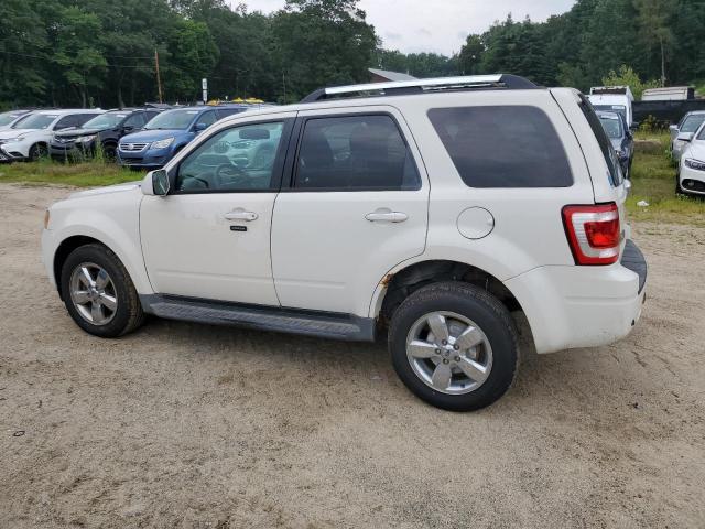 Photo 2 from auction – 2010 FORD ESCAPE LIM with VIN 1FMCU9EG5AKB30742