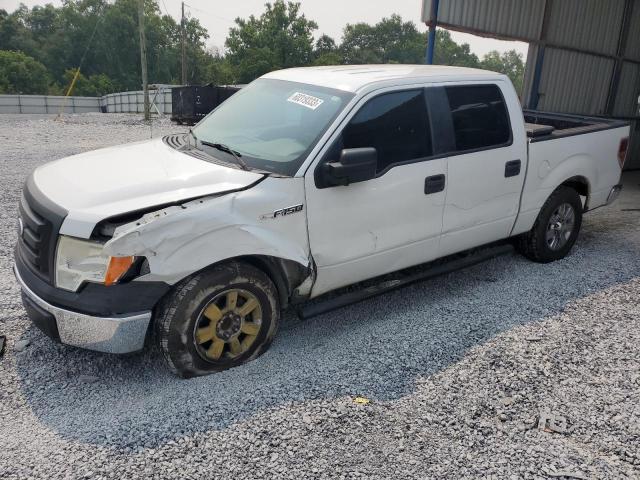 FORD F150 SUPER 2010 with VIN 1FTEW1CW6AFA96077 - Photo from auction