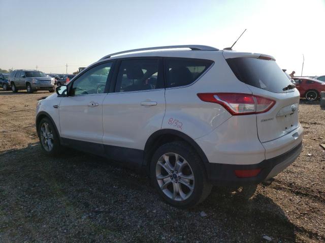 Photo 2 from auction – 2014 FORD ESCAPE TIT with VIN 1FMCU0JX0EUC21218