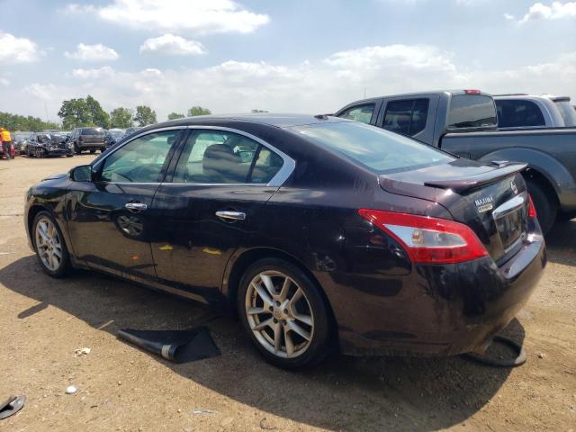 Photo 2 from auction – 2010 NISSAN MAXIMA S with VIN 1N4AA5AP3AC828527