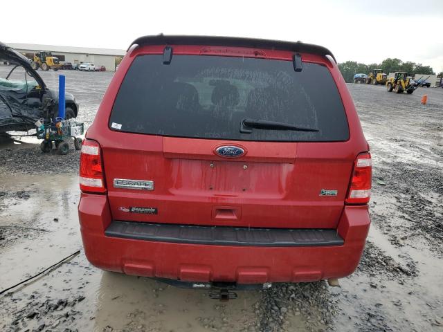 Photo 6 from auction – 2010 FORD ESCAPE XLT with VIN 1FMCU0DG7AKD12200