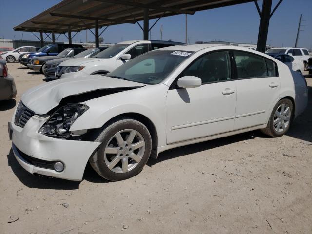 NISSAN MAXIMA SE 2006 with VIN 1N4BA41E06C827730 - Photo from auction