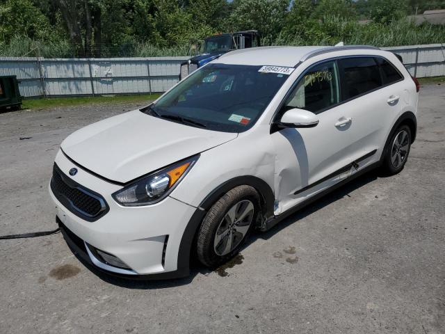 KIA NIRO EX 2019 with VIN KNDCC3LC2K5220595 - Photo from auction