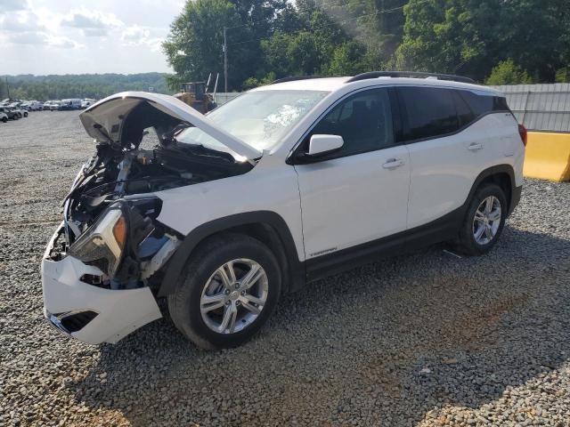GMC TERRAIN SL 2019 with VIN 3GKALMEV5KL166998 - Photo from auction