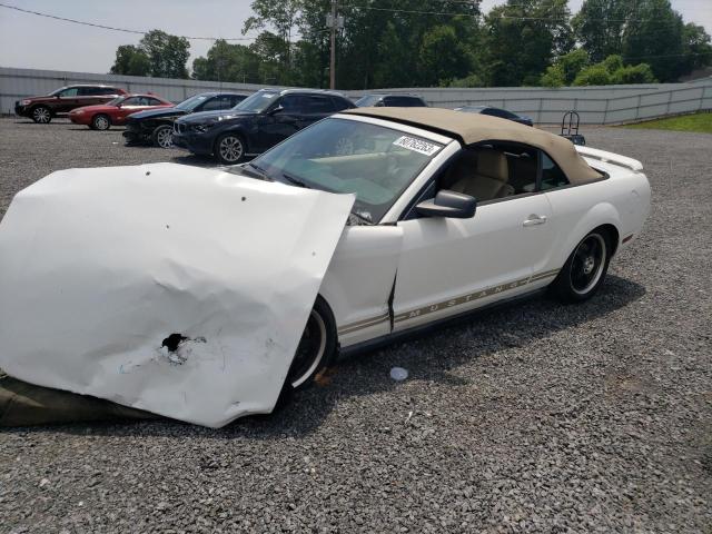 FORD MUSTANG 2005 with VIN 1ZVHT84N855253055 - Photo from auction