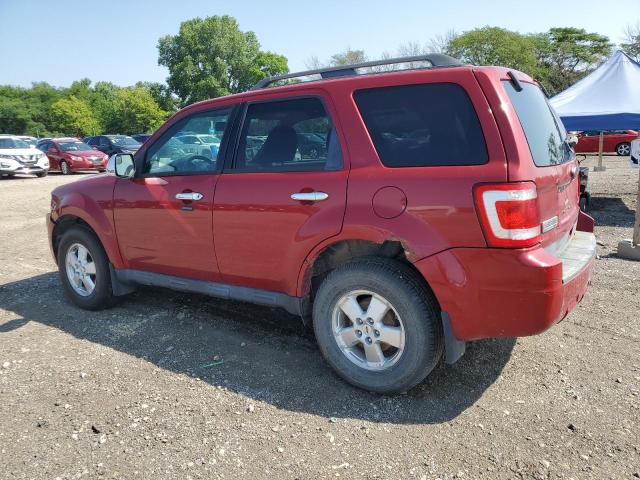 Photo 2 from auction – 2010 FORD ESCAPE XLT with VIN 1FMCU9DG5AKB42004