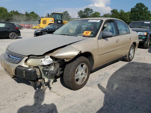 CHEVROLET MALIBU 2002 with VIN 1G1ND52J12M632295 - Photo from auction