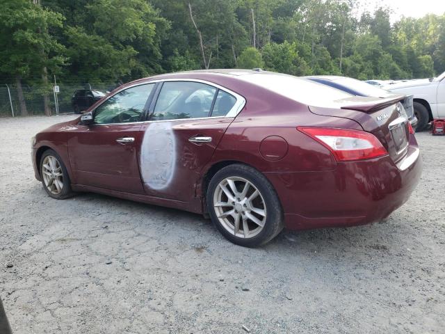 Photo 2 from auction – 2011 NISSAN MAXIMA S with VIN 1N4AA5AP0BC825067