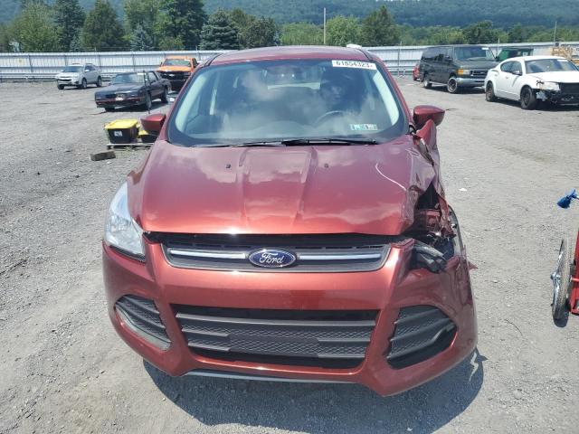 Photo 5 from auction – 2014 FORD ESCAPE SE with VIN 1FMCU9G95EUC15542