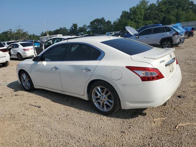 Photo 2 from auction – 2011 NISSAN MAXIMA S with VIN 1N4AA5AP4BC825668