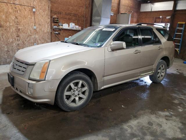 CADILLAC SRX 2006 with VIN 1GYEE637060195667 - Photo from auction