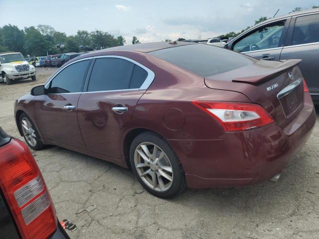 Photo 2 from auction – 2010 NISSAN MAXIMA S with VIN 1N4AA5APXAC833675