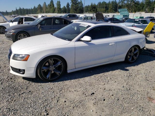 AUDI A5 PREMIUM 2010 with VIN WAUCKAFRXAA070133 - Photo from auction