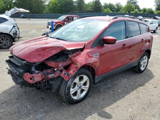 FORD ESCAPE SE 2014 with VIN 1FMCU0GX6EUA44486 - Photo from auction