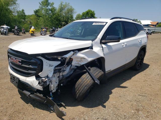 GMC TERRAIN SL 2019 with VIN 3GKALMEV2KL367693 - Photo from auction