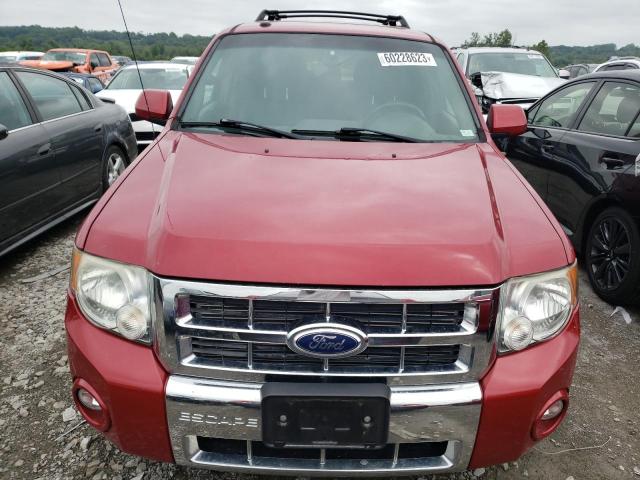 Photo 5 from auction – 2010 FORD ESCAPE LIM with VIN 1FMCU0EG7AKA69423