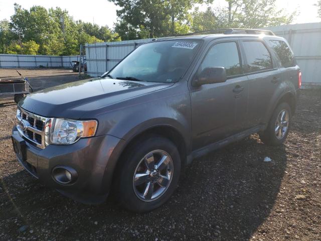 Photo 1 from auction – 2010 FORD ESCAPE XLT with VIN 1FMCU9DGXAKC25539