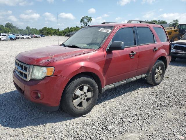 FORD ESCAPE XLT 2010 with VIN 1FMCU0DG6AKA55787 - Photo from auction