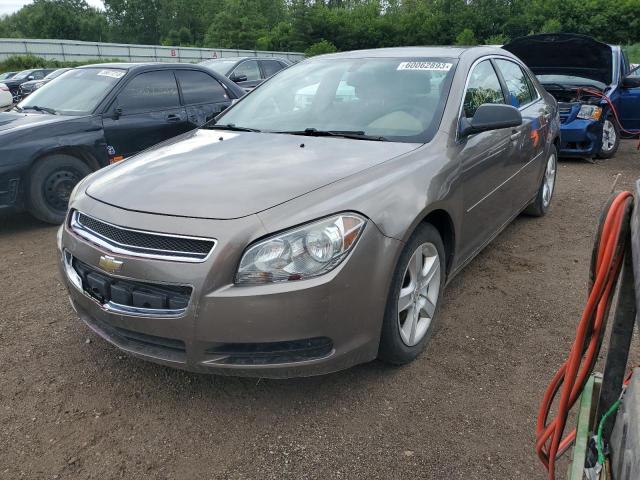 CHEVROLET MALIBU LS 2012 with VIN 1G1ZB5E06CF219434 - Photo from auction