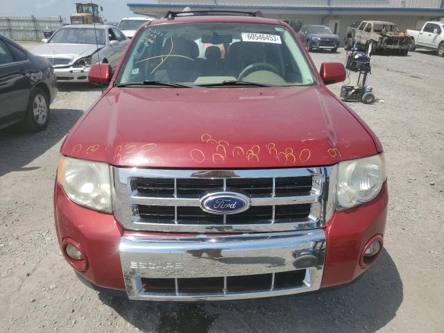 Photo 5 from auction – 2011 FORD ESCAPE LIM with VIN 1FMCU0EG2BKA54488