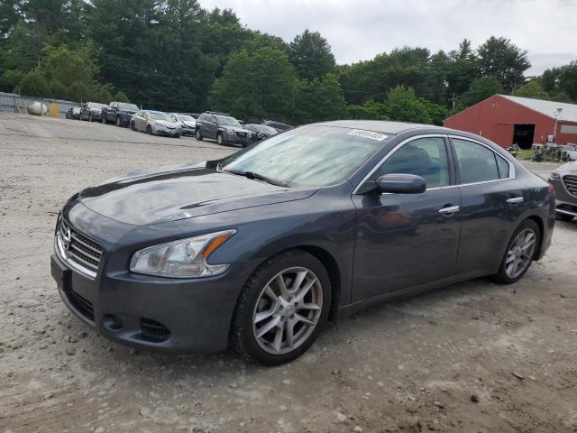 NISSAN MAXIMA S 2009 with VIN 1N4AA51E59C823632 - Photo from auction