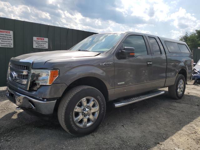 FORD F150 SUPER 2013 with VIN 1FTFX1ET3DFA13083 - Photo from auction