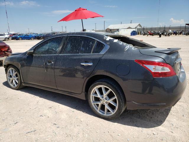 Photo 2 from auction – 2009 NISSAN MAXIMA S with VIN 1N4AA51E89C803200