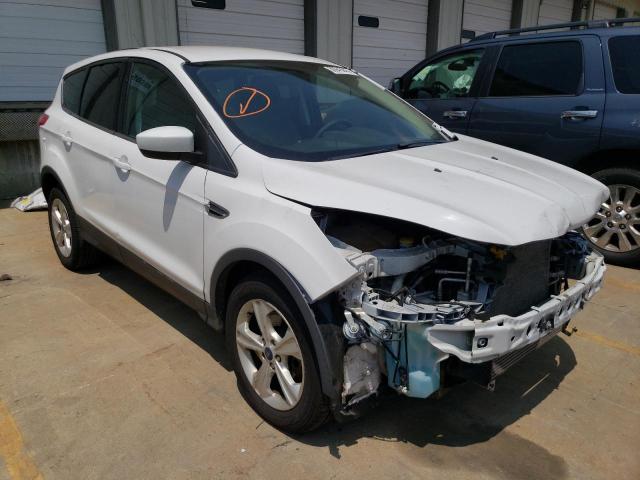 Photo 4 from auction – 2014 FORD ESCAPE SE with VIN 1FMCU0G95EUD45588