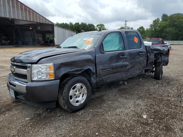 CHEVROLET SILVERADO 2010 with VIN 3GCRCSE04AG288931 - Photo from auction