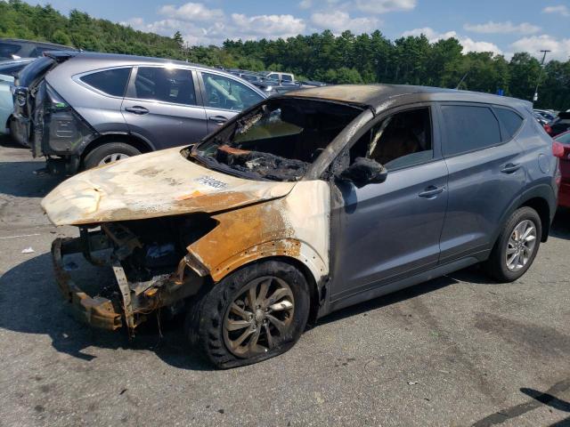 HYUNDAI TUCSON SE 2018 with VIN KM8J2CA43JU629811 - Photo from auction