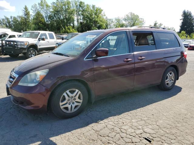 HONDA ODYSSEY EX 2007 with VIN 5FNRL38797B059271 - Photo from auction