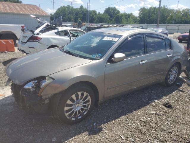 NISSAN MAXIMA SE 2004 with VIN 1N4BA41E54C863961 - Photo from auction