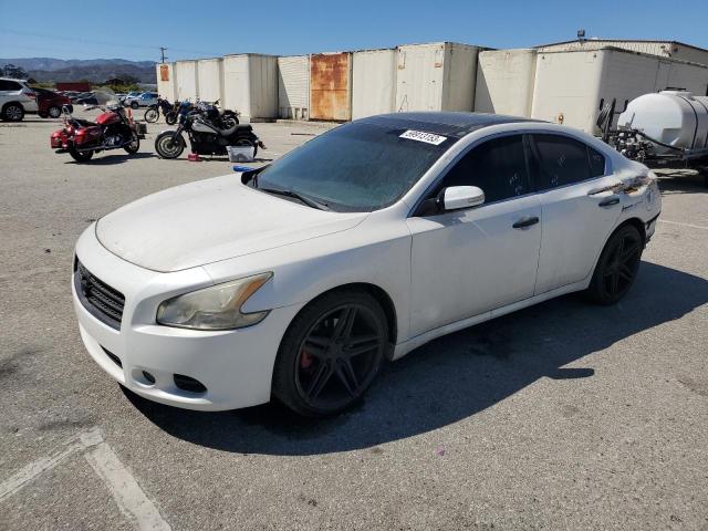 NISSAN MAXIMA S 2009 with VIN 1N4AA51E29C800714 - Photo from auction