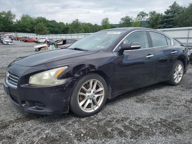NISSAN MAXIMA S 2011 with VIN 1N4AA5AP7BC820996 - Photo from auction