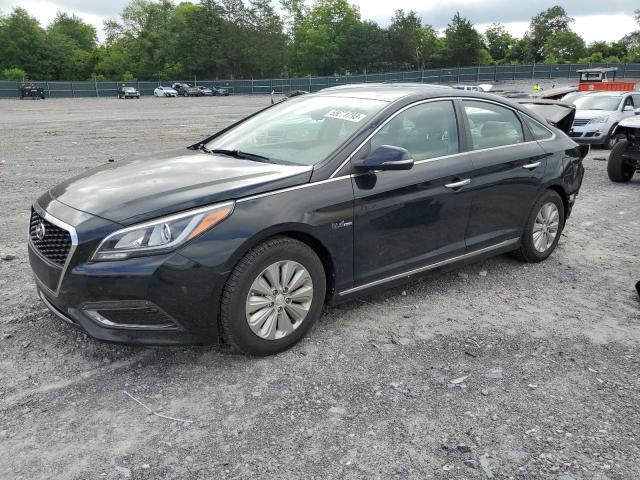 HYUNDAI SONATA HYB 2016 with VIN KMHE24L12GA013280 - Photo from auction