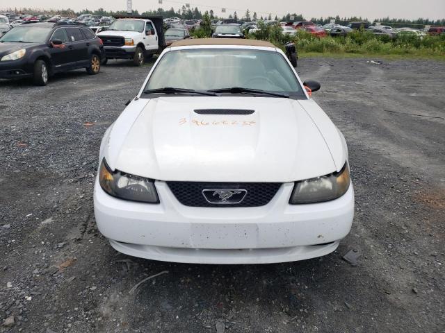 Photo 5 from auction – 2004 FORD MUSTANG with VIN 1FAFP44624F193434