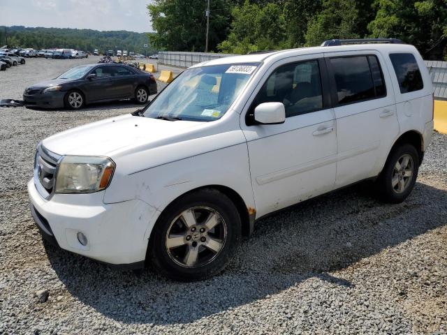 HONDA PILOT EXL 2010 with VIN 5FNYF4H56AB004081 - Photo from auction