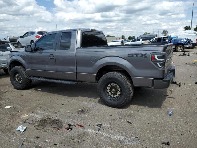 Photo 2 from auction – 2013 FORD F 150 with VIN 1FTFX1EF8DFA74407